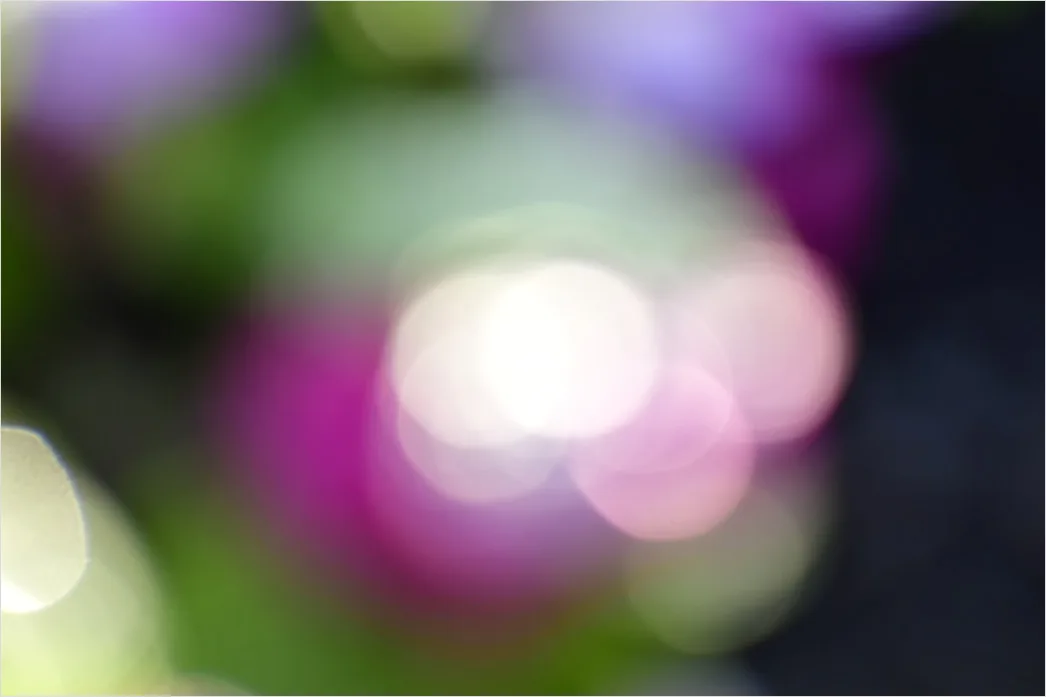 Detail Lila Bokeh Mit Weichen Lichtreflexen Number 6