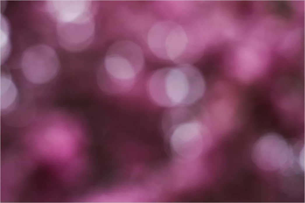 Detail Lila Bokeh Mit Weichen Lichtreflexen Number 7