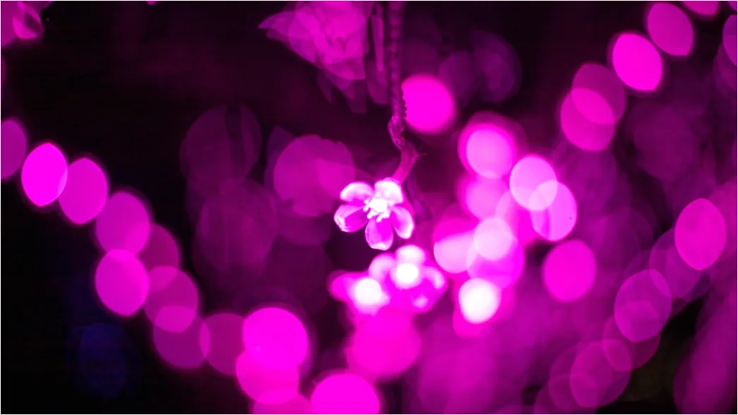 Detail Lila Bokeh Mit Weichen Lichtreflexen Number 12