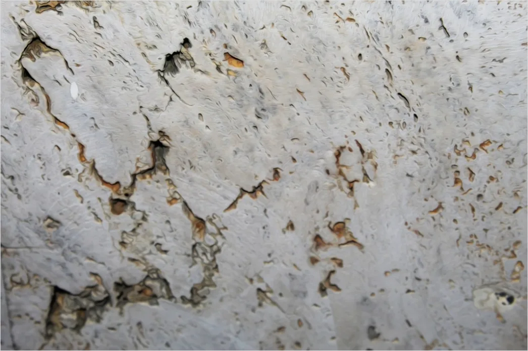Marmorierter Naturstein Mit Hellen Farben D33f
