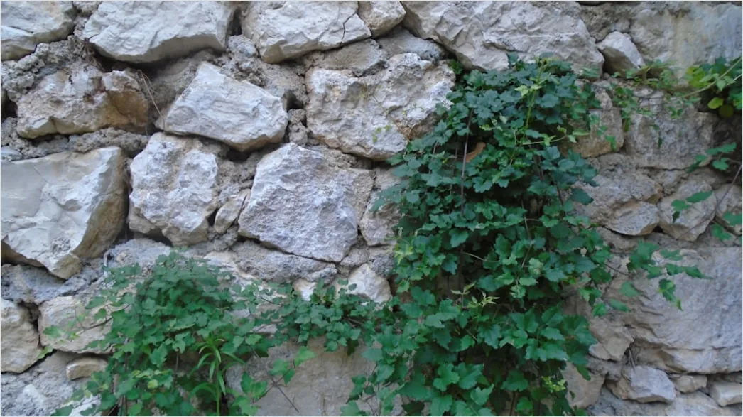 Detail Mauer Aus Alten Natursteinen Bild Number 9