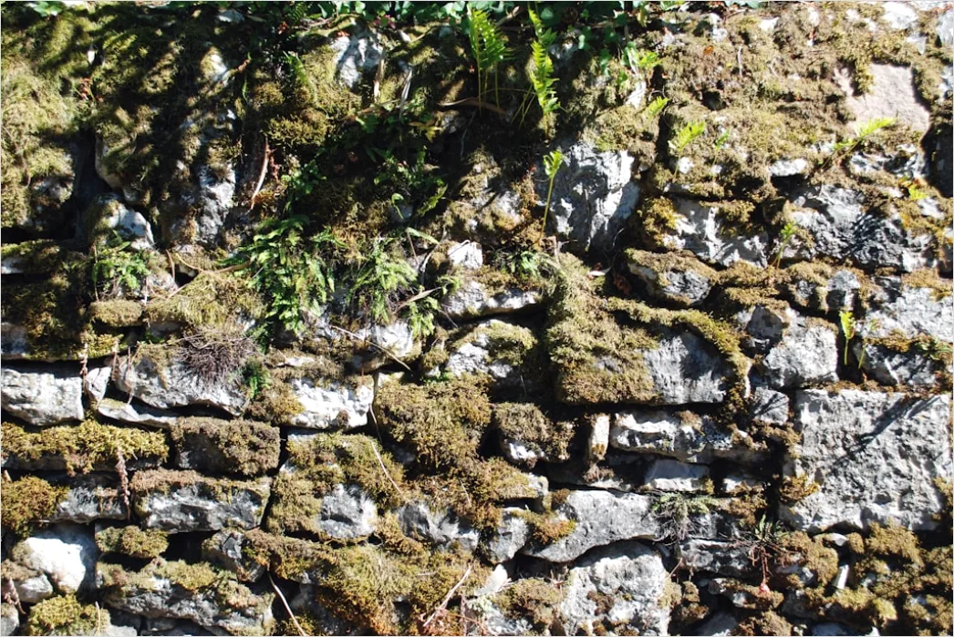 Detail Mauer Aus Alten Natursteinen Bild Number 12