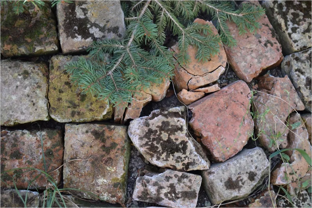 Detail Mauer Aus Alten Natursteinen Bild Number 15