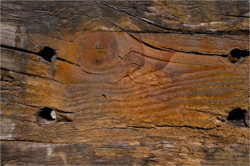 Detail Rustikale Holzwand Mit Sichtbaren Nägeln Number 11