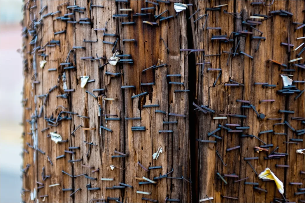 Detail Rustikale Holzwand Mit Sichtbaren Nägeln Number 12
