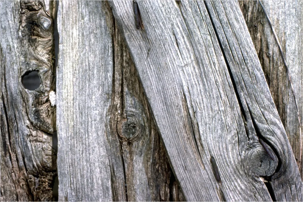 Detail Rustikale Holzwand Mit Sichtbaren Nägeln Number 17