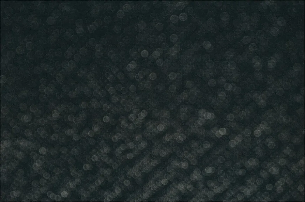 Detail Schwarzes Kunstleder Mit Struktur Number 7