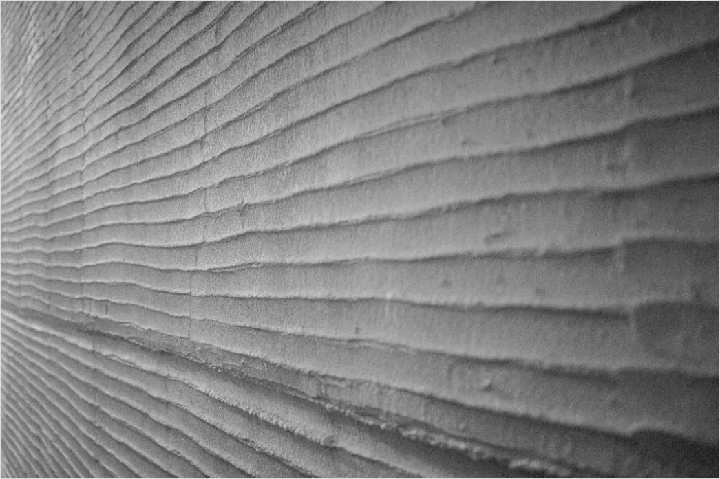 Sichtbeton Wand Mit Feiner Struktur 3dc5