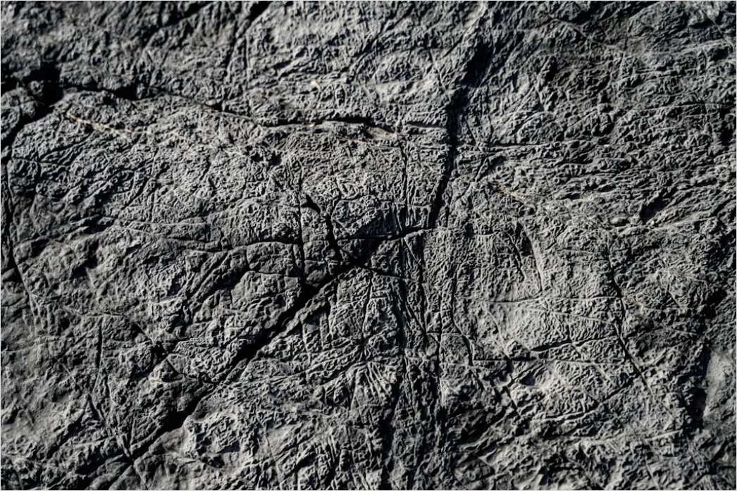 Detail Silberne Funkelnde Textur In Hoher Auflösung Number 2
