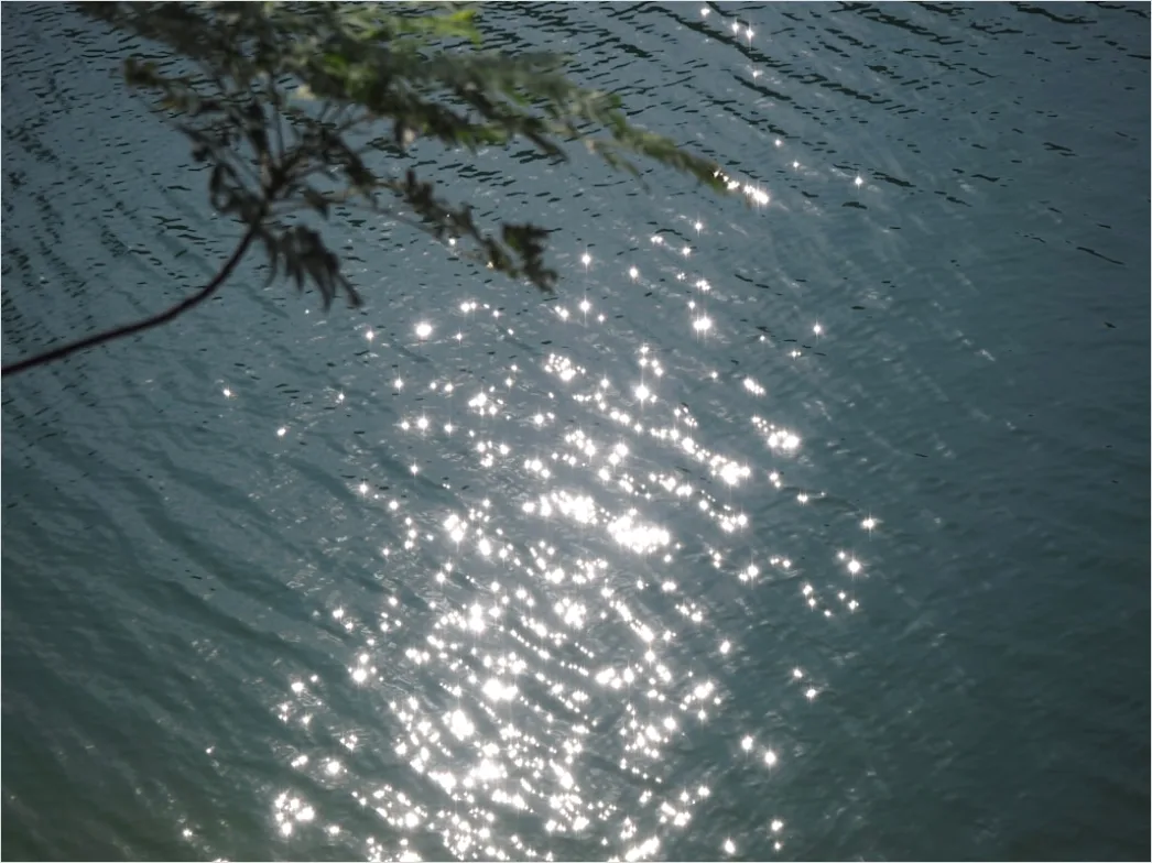 Detail Türkises Wasser Mit Sonnenspiegelung Number 11