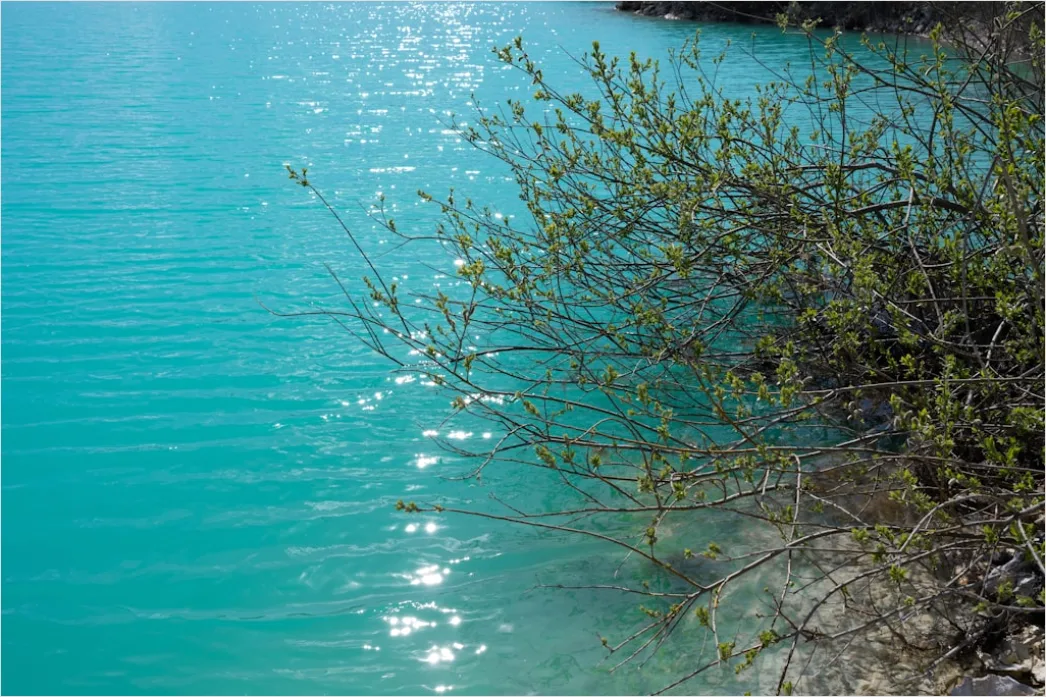 Detail Türkises Wasser Mit Sonnenspiegelung Number 2