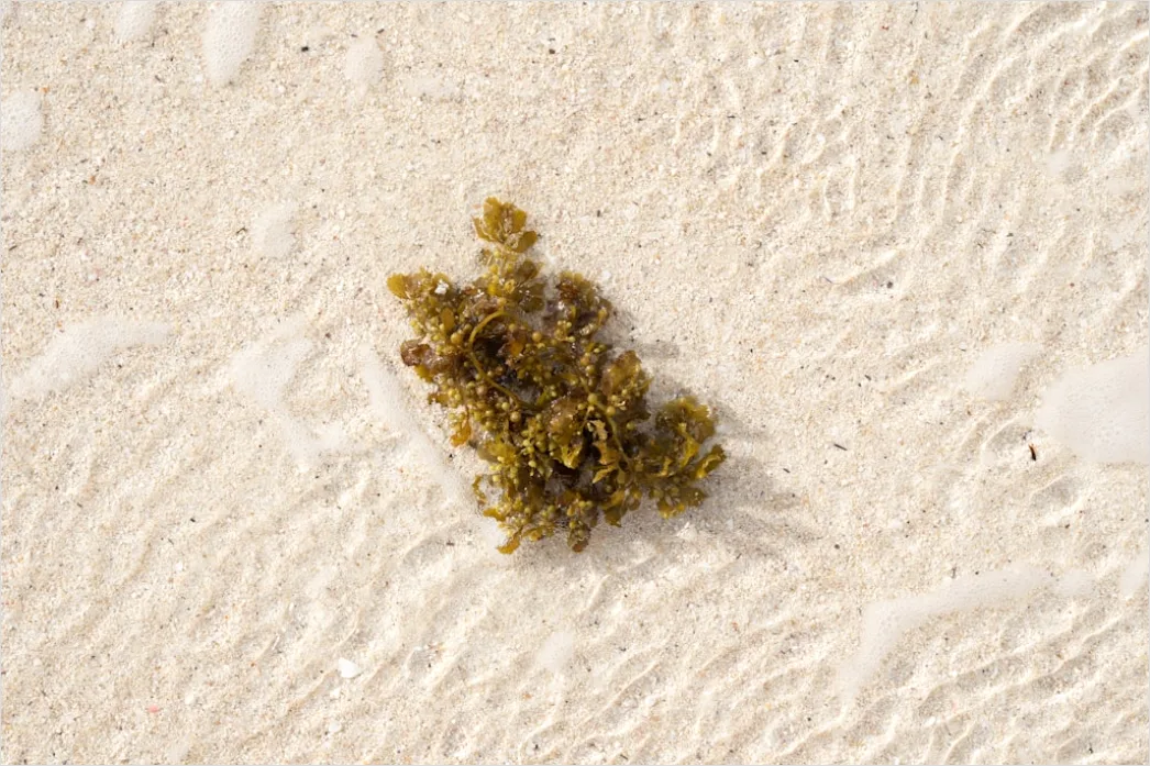 Detail Unberührter Sandstrand Von Oben Fotografiert Number 2