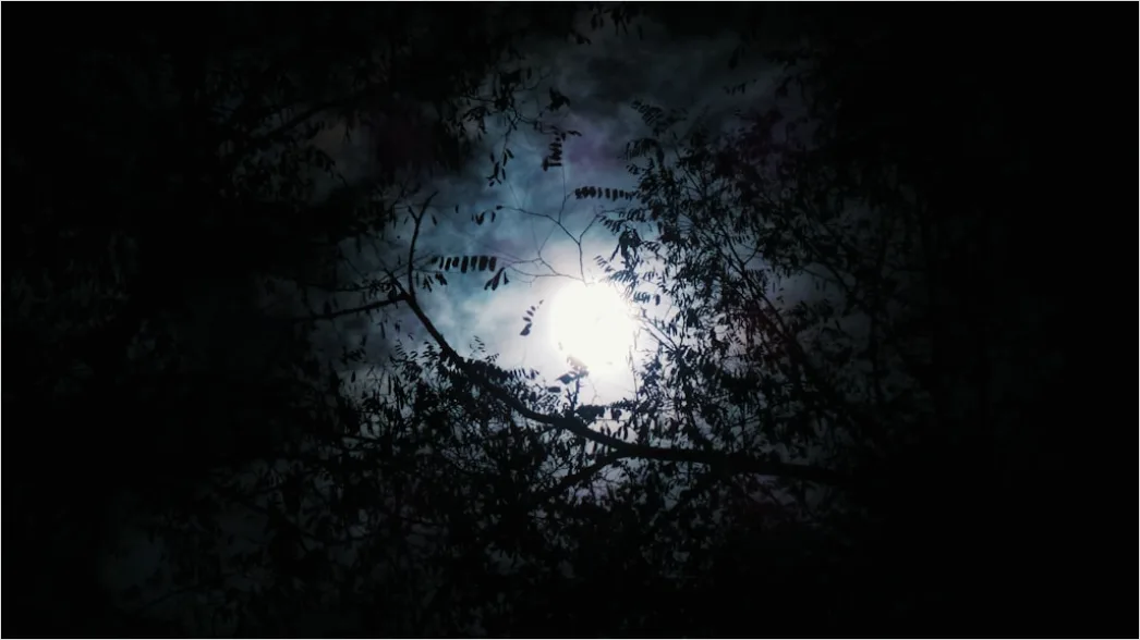 Vollmond Vor Dunklem Nachthimmel E5e7