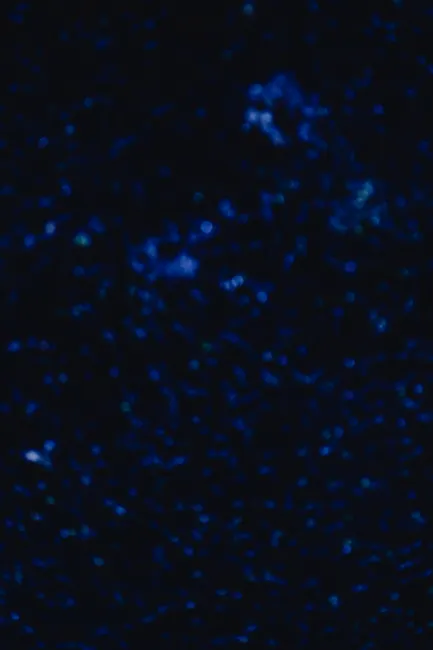 Detail Abstrakter Weltraum Hintergrund Mit Galaxie Number 8