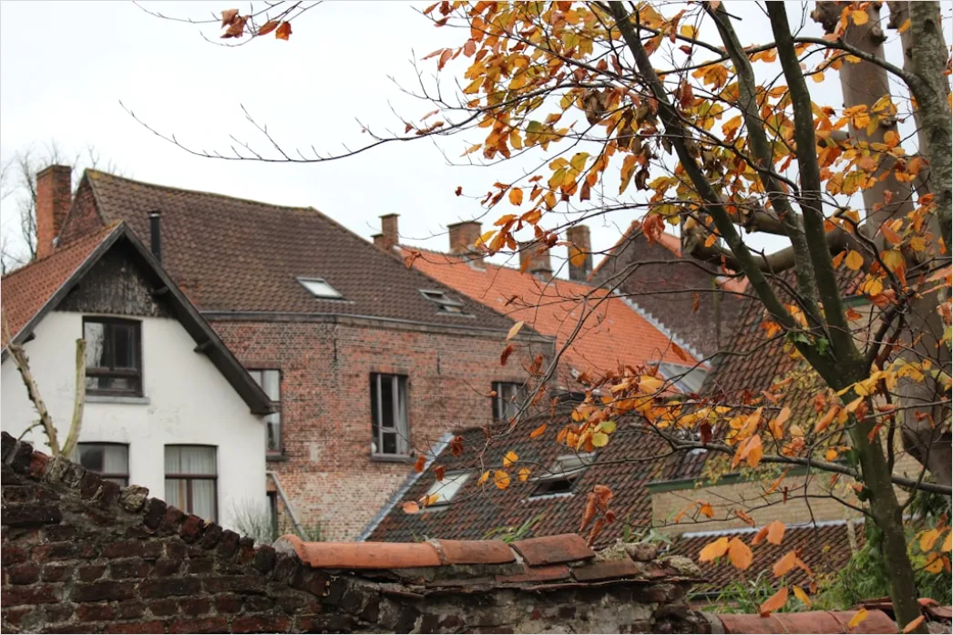 Detail Alte Mauer Mit Rissen Und Flecken Number 3