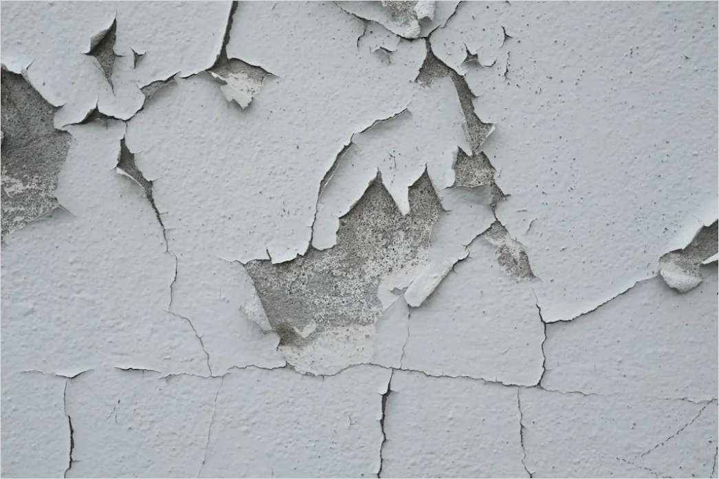 Detail Alte Weiße Wand Mit Abblätternder Farbe Number 8