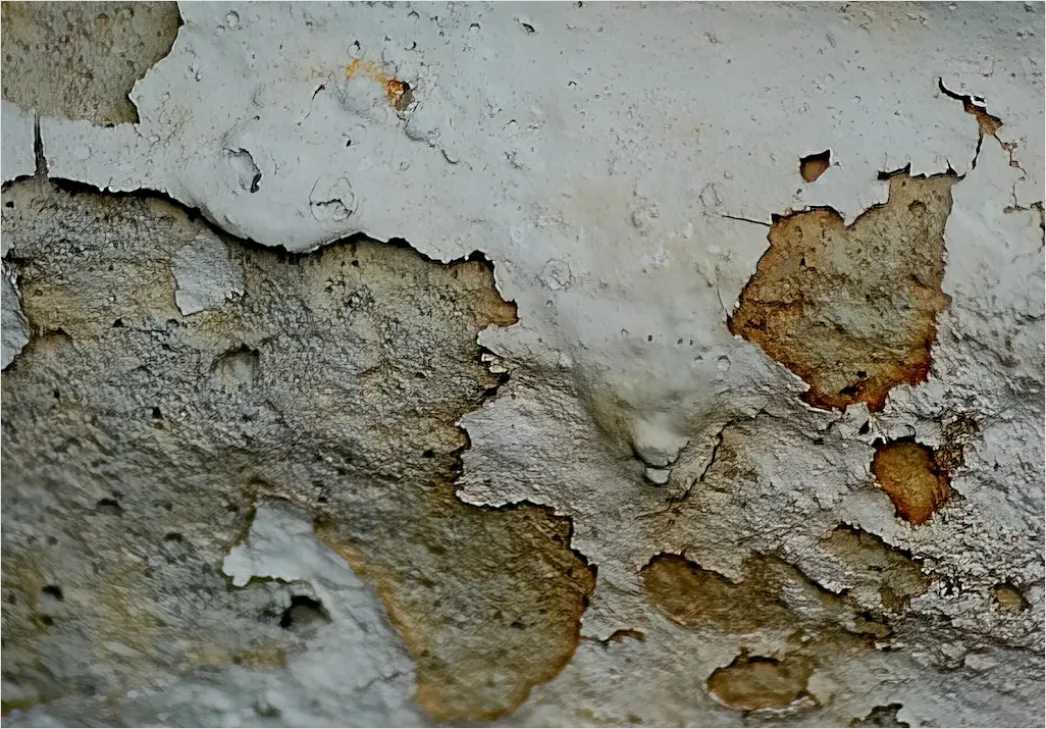 Detail Alte Weiße Wand Mit Abblätternder Farbe Number 13