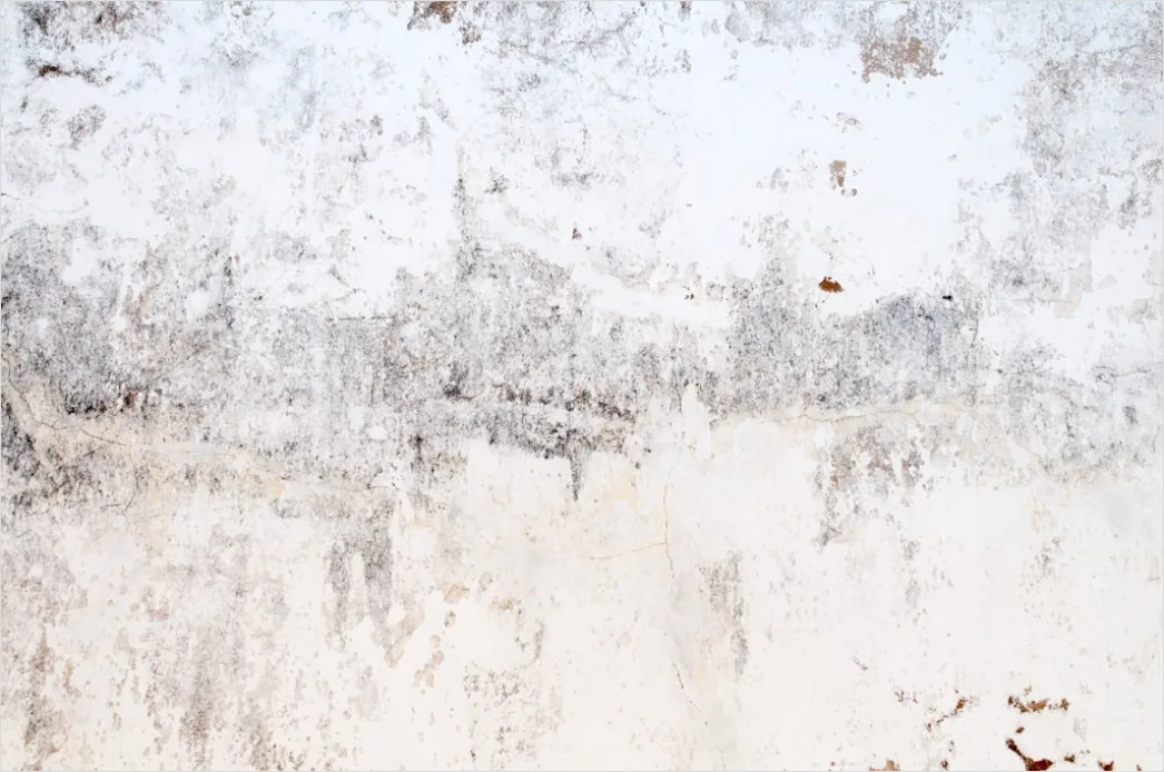 Detail Alte Weiße Wand Mit Abblätternder Farbe Number 14