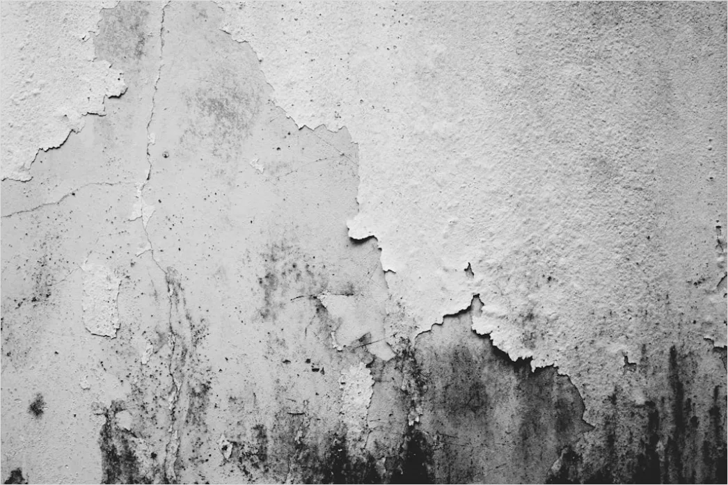 Detail Alte Weiße Wand Mit Abblätternder Farbe Number 4