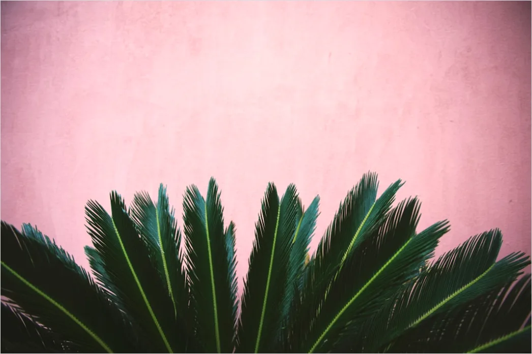 Background Abstrak Daun Tropis 7adb