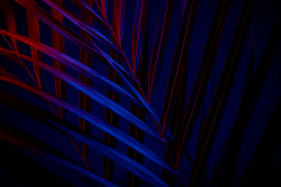 Detail Dunkler Hintergrund Mit Neonfarbenen Linien Number 8