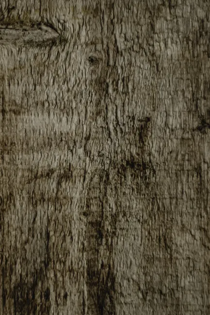 Detail Eichenholz Textur Als Natürlicher Hintergrund Number 7