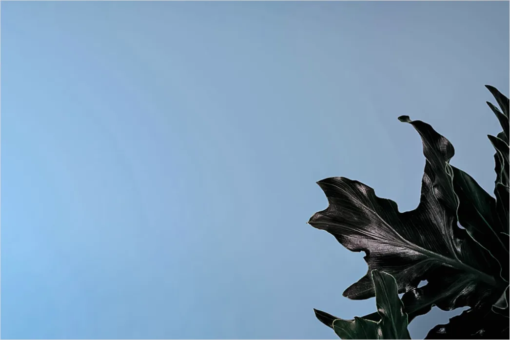 Detail Eleganter Dunkelgrauer Hintergrund Für Banner Number 2