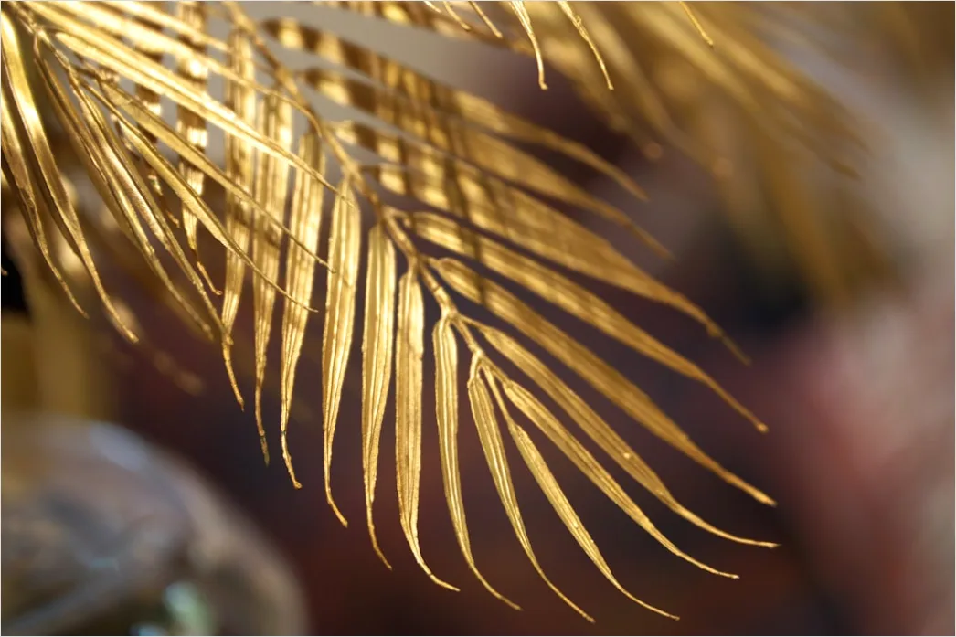 Detail Goldene Blätter Als Dekorative Textur Number 10