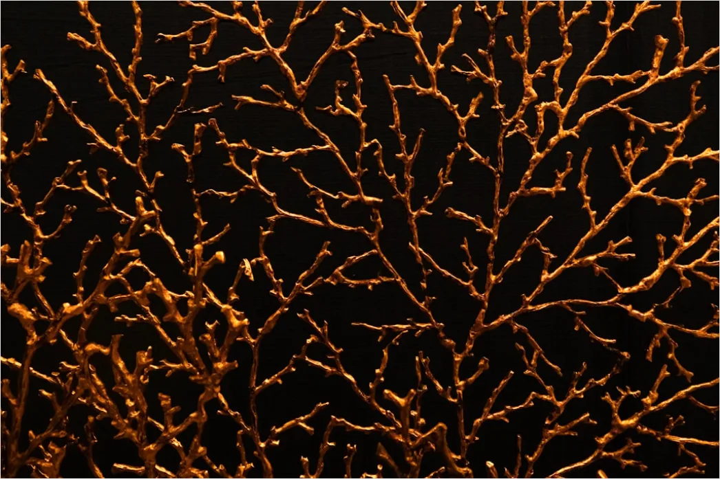 Detail Goldene Blätter Als Dekorative Textur Number 2
