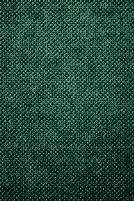 Detail Grünes Leder Als Eleganter Hintergrund Number 3