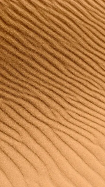 Detail Minimalistischer Hintergrund In Sandfarben Number 6