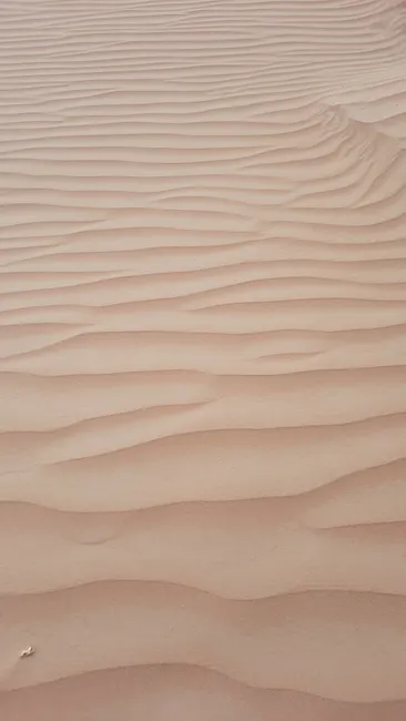Detail Minimalistischer Hintergrund In Sandfarben Number 8