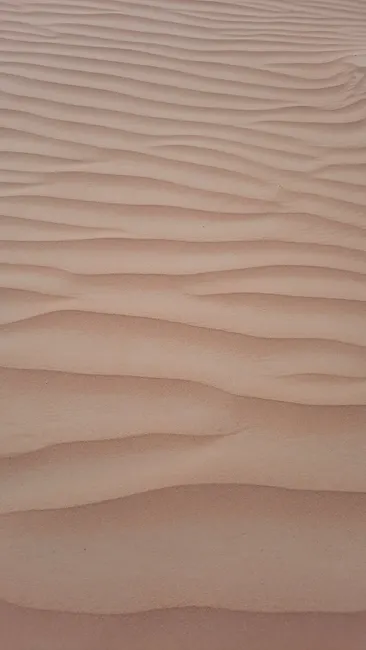 Detail Minimalistischer Hintergrund In Sandfarben Number 9