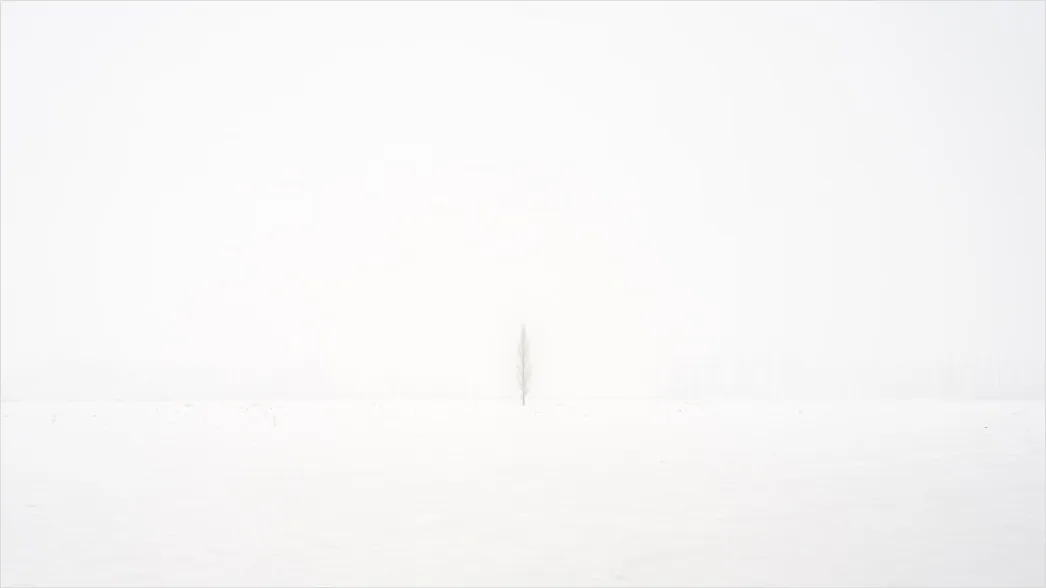 Detail Minimalistischer Weißer Hintergrund In Hoher Auflösung Number 3