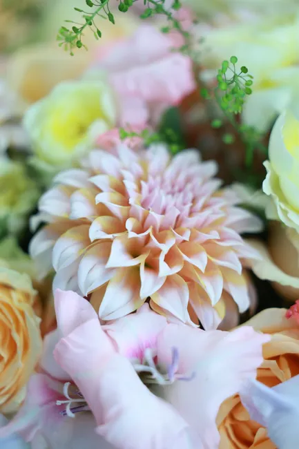 Detail Pastellfarbene Blumen Für Hochzeit Hintergrund Number 11