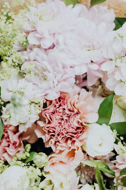 Detail Pastellfarbene Blumen Für Hochzeit Hintergrund Number 13