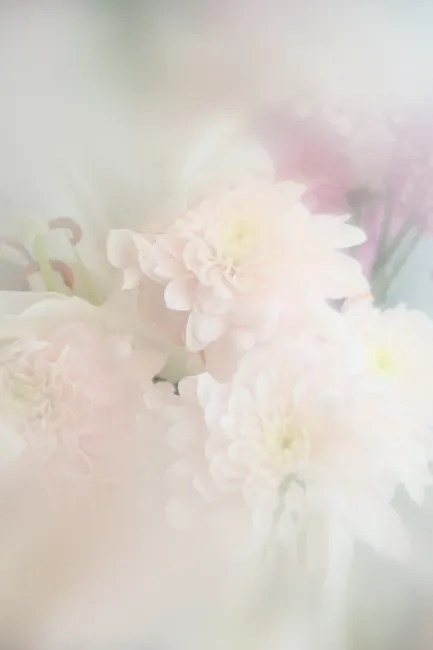 Detail Pastellfarbene Blumen Für Hochzeit Hintergrund Number 3
