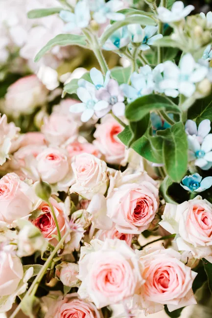 Detail Pastellfarbene Blumen Für Hochzeit Hintergrund Number 4