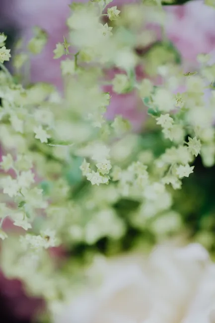 Detail Pastellfarbene Blumen Für Hochzeit Hintergrund Number 6