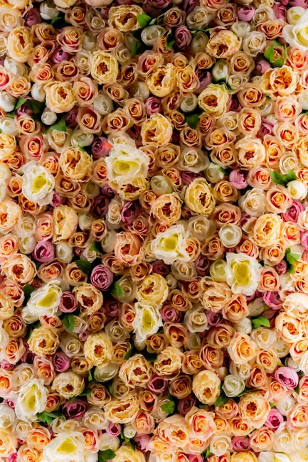 Detail Pastellfarbene Blumen Für Hochzeit Hintergrund Number 9