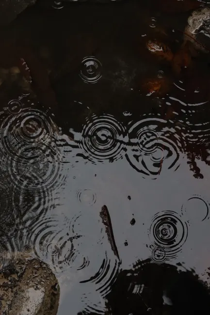 Detail Regentropfen Auf Wasseroberfläche Bild Number 10