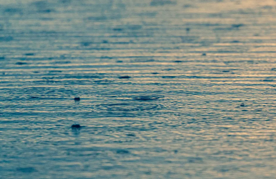 Detail Regentropfen Auf Wasseroberfläche Bild Number 12