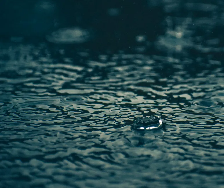 Detail Regentropfen Auf Wasseroberfläche Bild Number 14