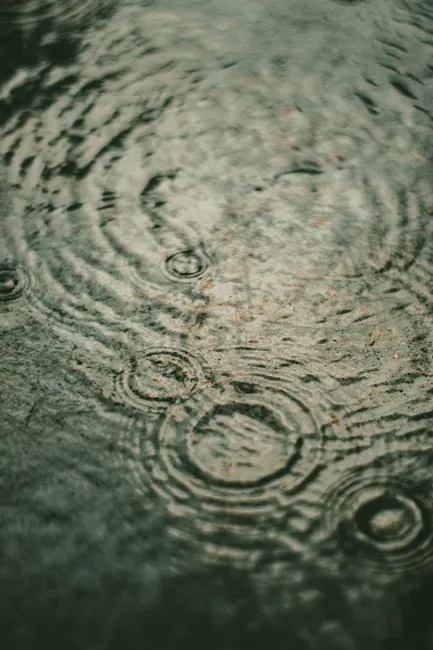 Detail Regentropfen Auf Wasseroberfläche Bild Number 2