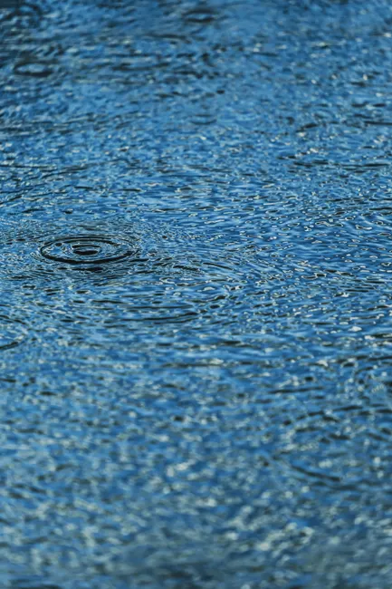 Detail Regentropfen Auf Wasseroberfläche Bild Number 3