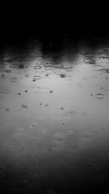 Detail Regentropfen Auf Wasseroberfläche Bild Number 6