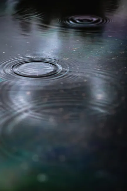 Detail Regentropfen Auf Wasseroberfläche Bild Number 8