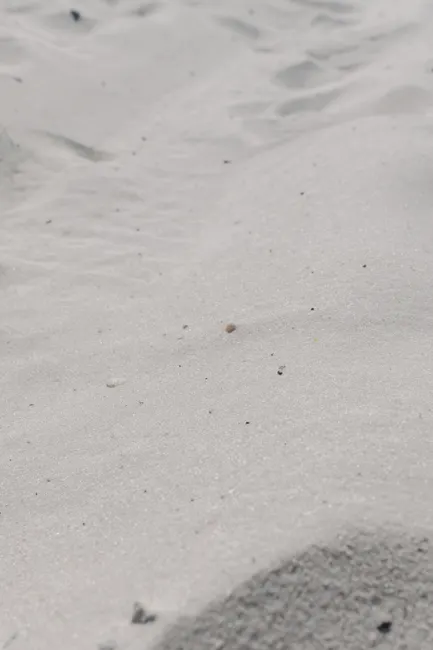 Detail Sand Mit Muscheln Als Sommer Hintergrund Number 10