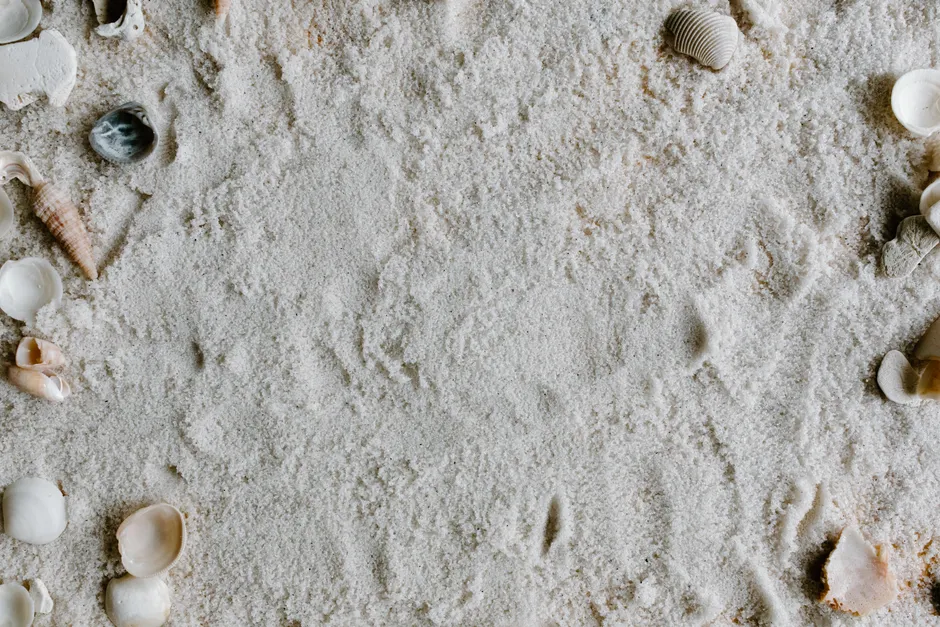 Detail Sand Mit Muscheln Als Sommer Hintergrund Number 4