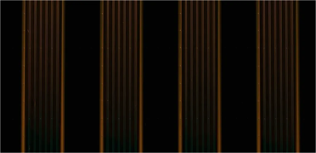 Schwarzer Hintergrund Mit Goldenen Linien B324
